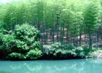 東明山森林公園